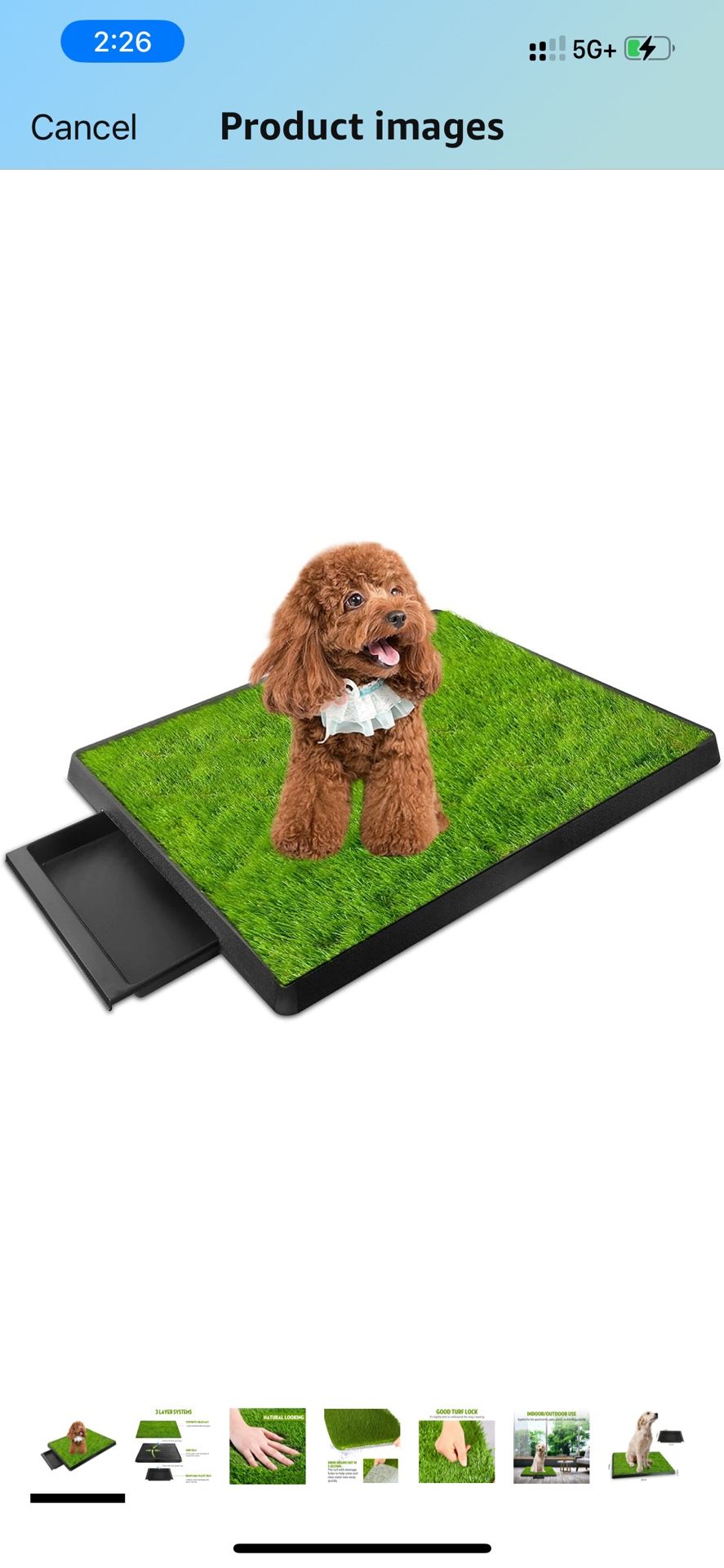 iMounTek Dog Astroturf Indoor/outdoor Litter Box