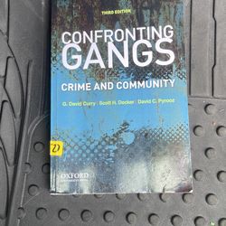 Confronting Gangs