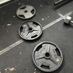 35lbs Weight Plates