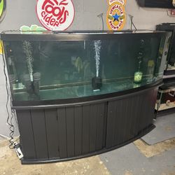 180 Gallon Bowfront Aquarium