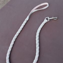 Dog Leash