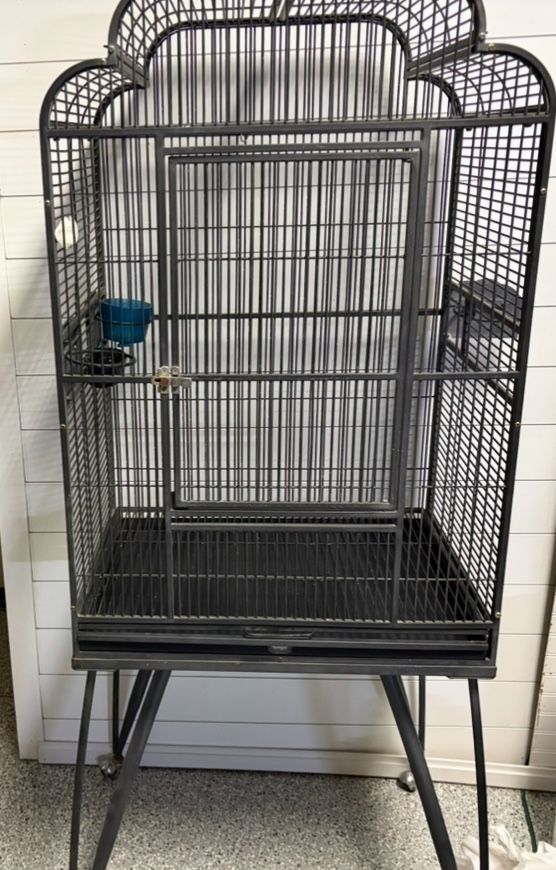 Bird Cage