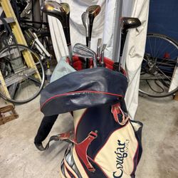 Use Golf Bag And Some Golf Club 