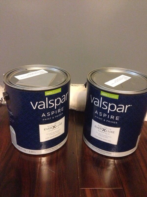 Valspar Aspire paint and primer color Tinman