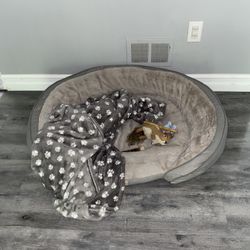 Large Dog Bed