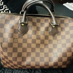 Louis Vuitton Speedy Bag and Matching Sarah Wallet