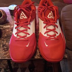 Giannis Basketball Shoes