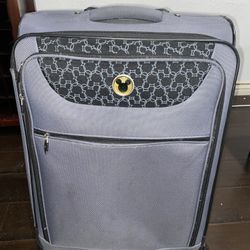 Disney luggage