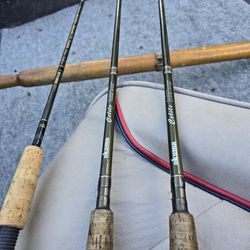 3 salmon Rod 