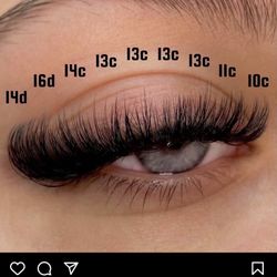 Lash Sets Starting From $85