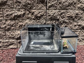 10 Gallon All-In-One Acrylic Fish Tank with Reservoir, Stand, and Supplies to Start Tank