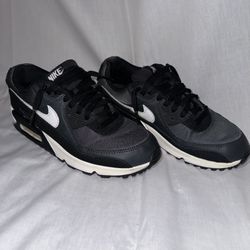 Nike Air Max Icon Grey