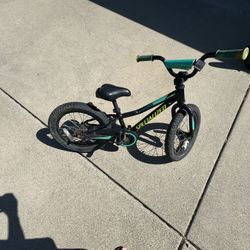 Specialized Kids Bike 