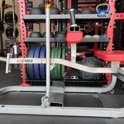 Cybex Seated Calf Raise
