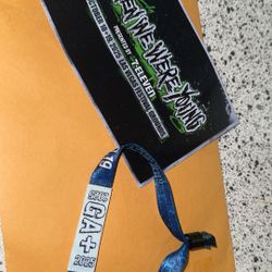 Wwwy Festival Gen+ Wristband