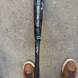 Baseball Bat