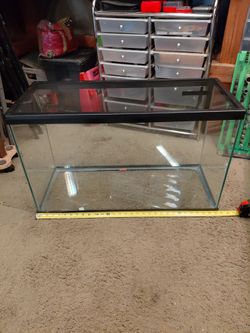 Reptile tank or aquarium