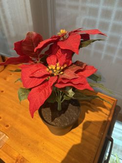 Artificial Plant With Vase