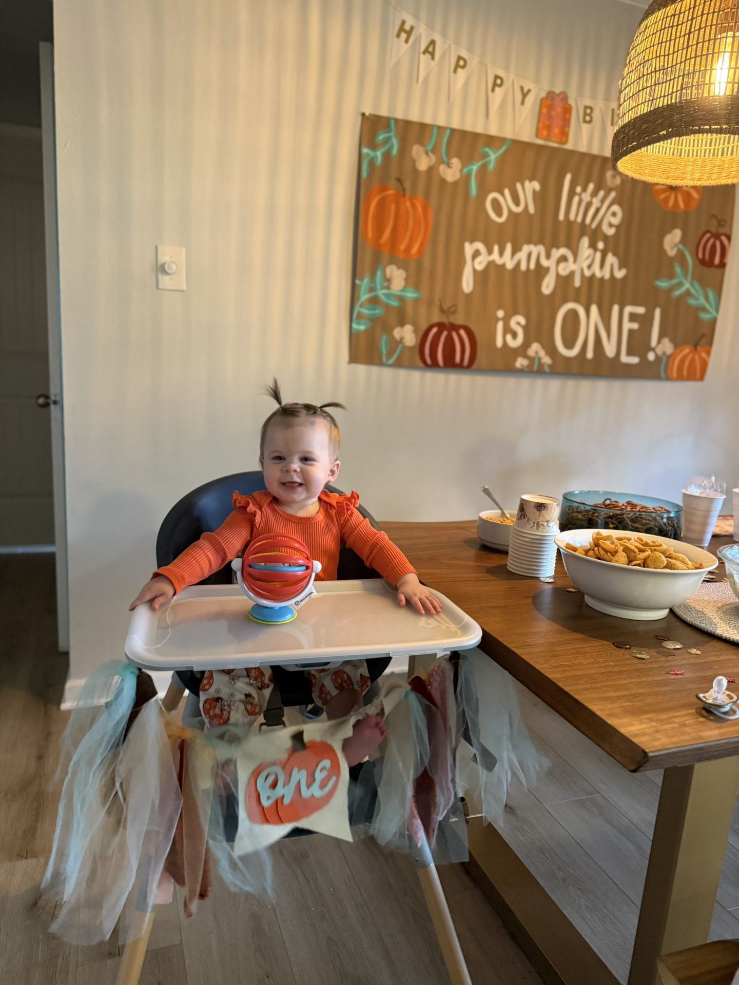 Pumpkin Sign and High chair Tutu
