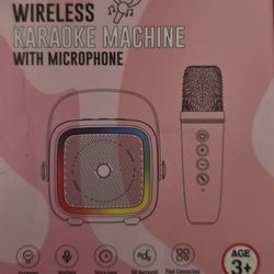 Mini Karaoke Two Microphone