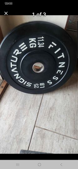 25 lb plate weights 2 total . only $45 for both