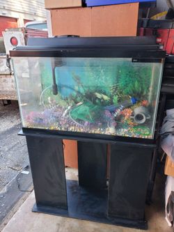 Fish Tank