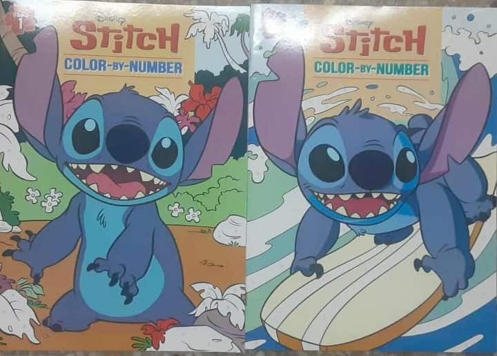 Set Of 2 New Stitch Color By Number Books