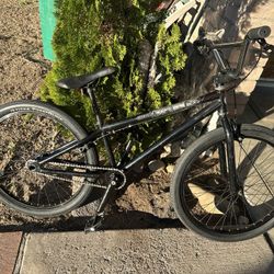 Haro 24 Inch Cruiser 