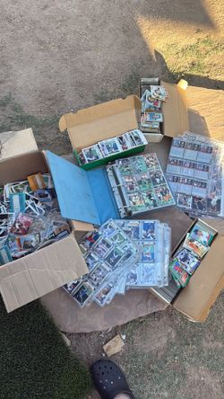 Collectors Baseball Cards