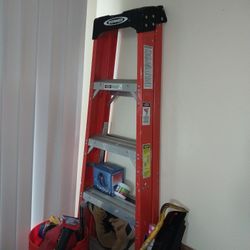 Werner 6 Foot Ladder