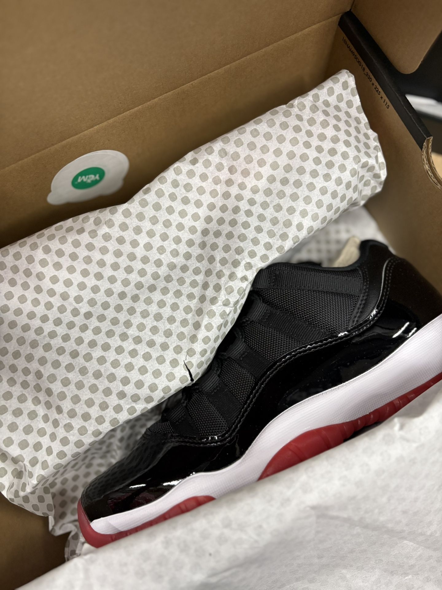 Jordan 11s (2025)