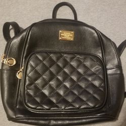 Back Pack Purse
