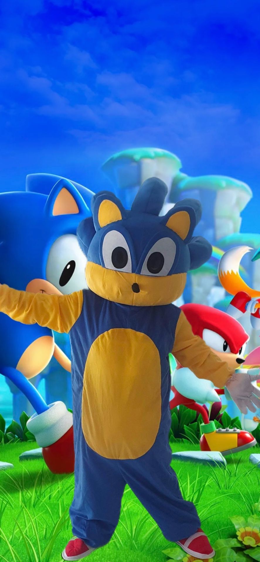 Sonic Costume For Sale Adult Size