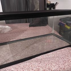40 Gal Fish Tank