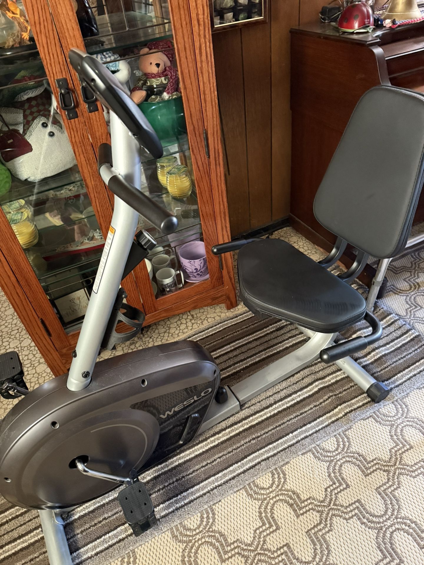 Recumbent Stationary Bike