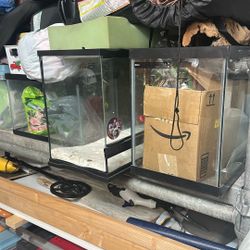 Reptile/fish Tanks 