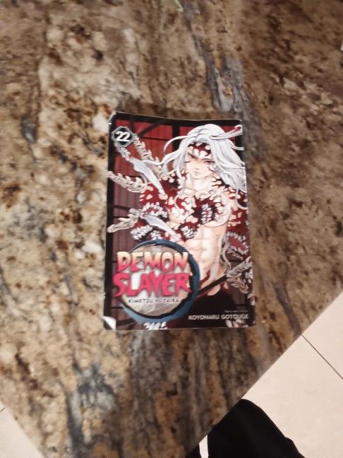 Used Demon Slayer Volume 22 Manga
