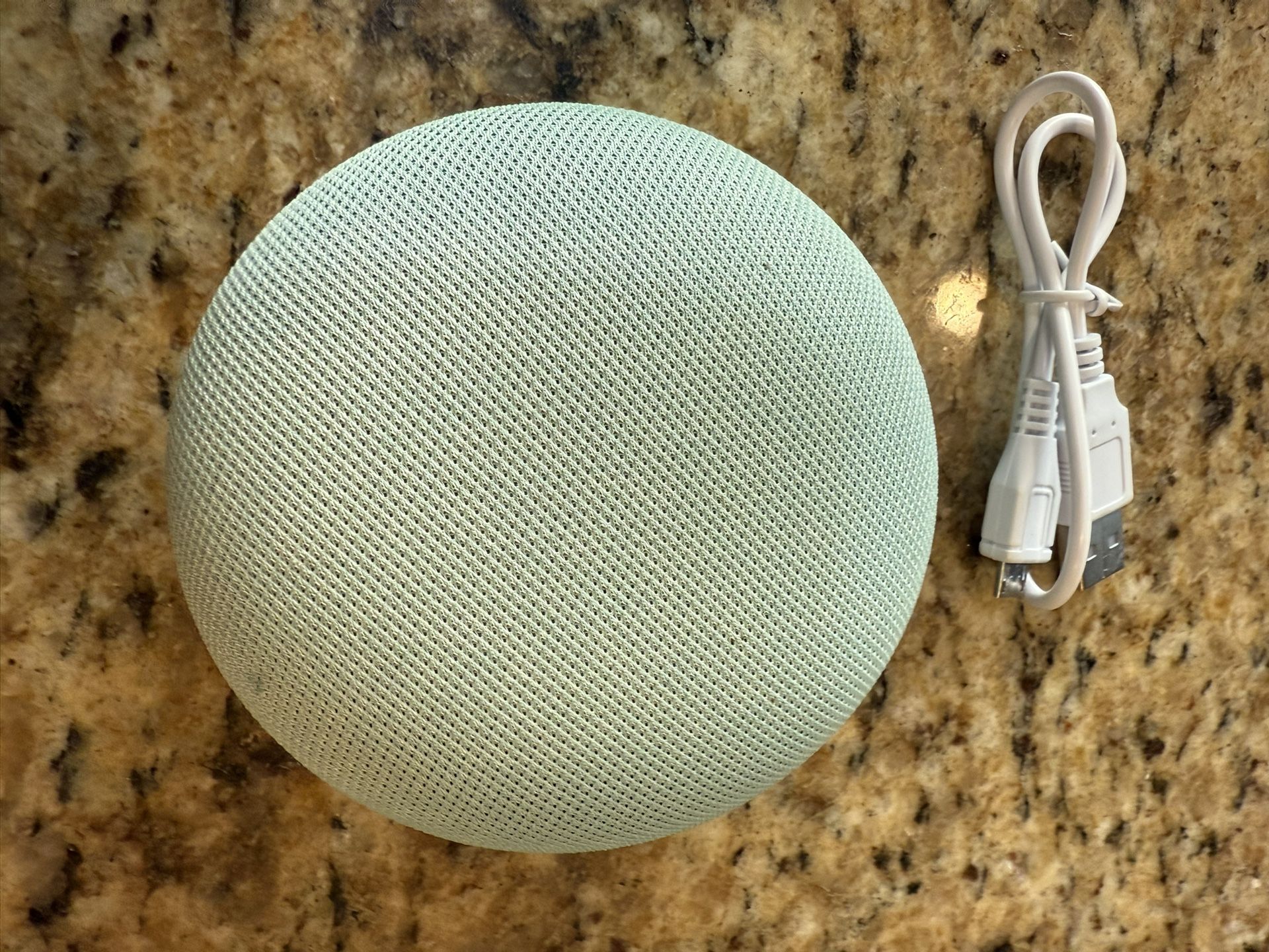 Google mini nest 1st gen