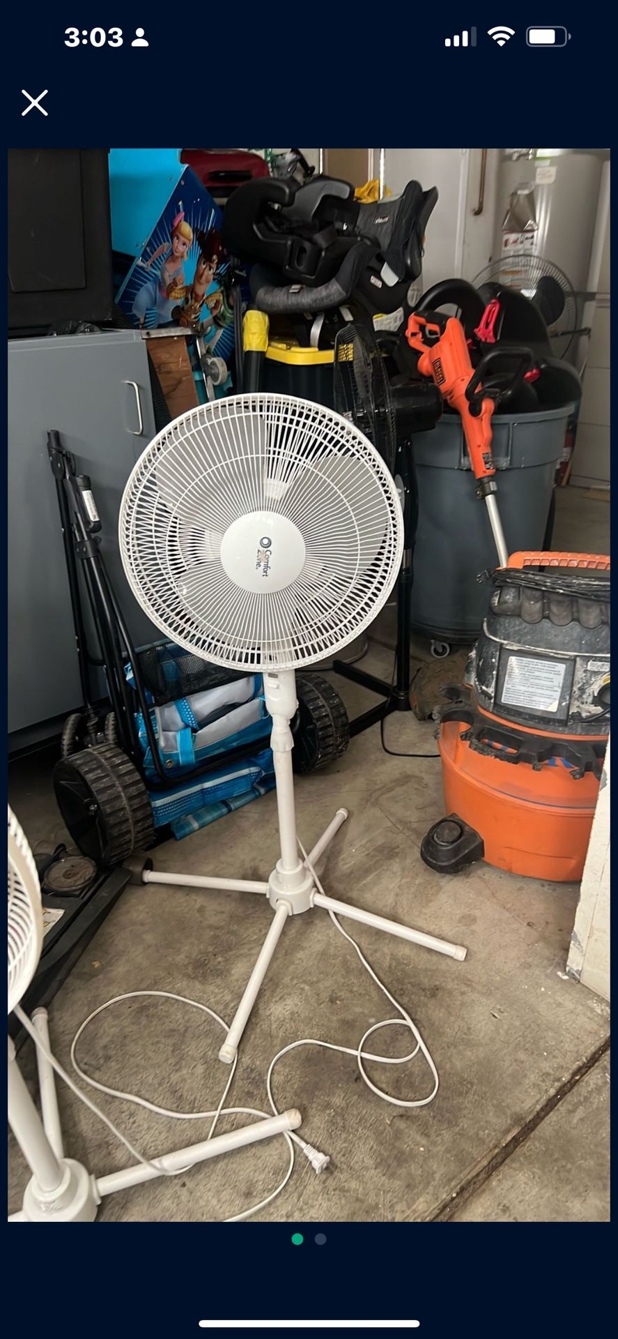 fan