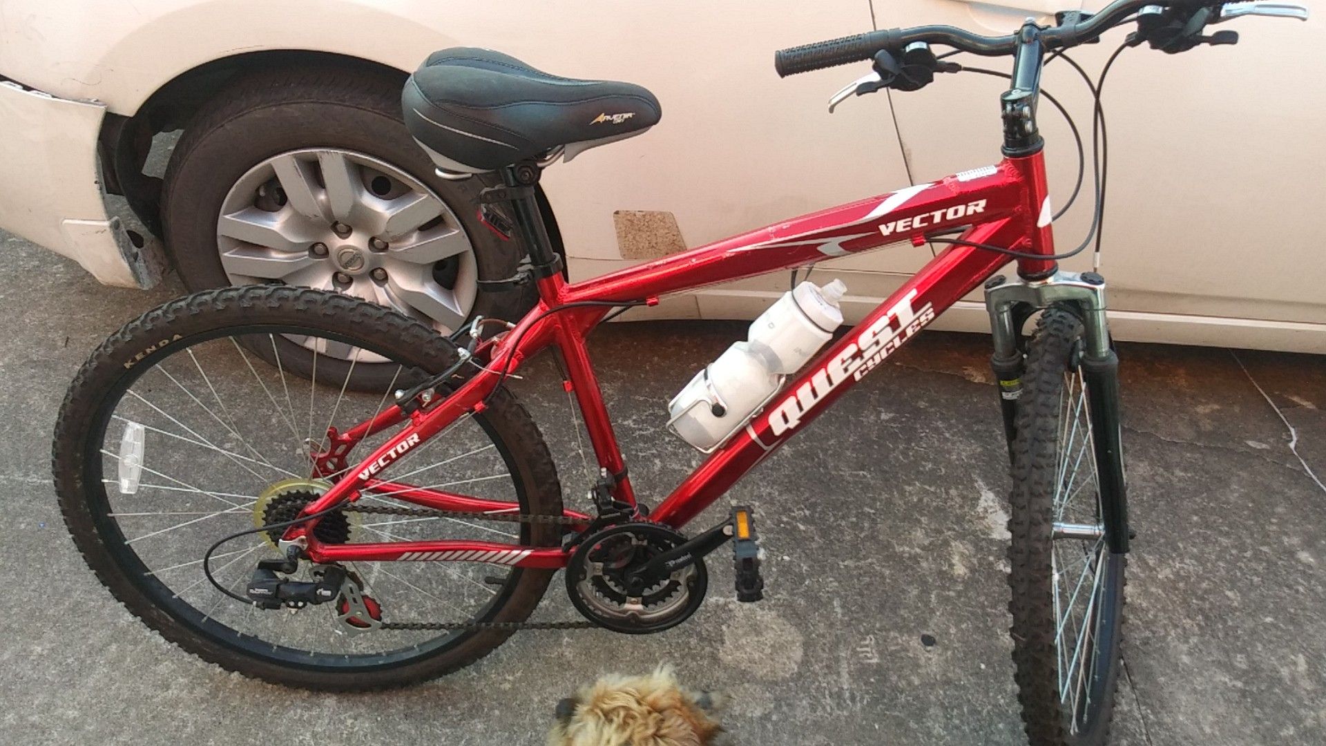 Quest Cycles Vector Mountain Bike NEW