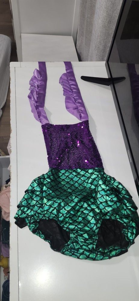 Little Mermaid Outfit 