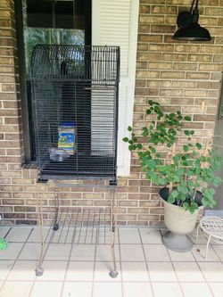Large bird cage