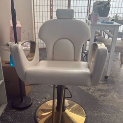 Salon Chairs 