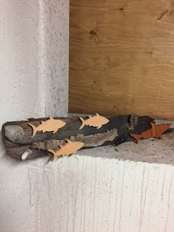 Beach house hanging on real driftwood