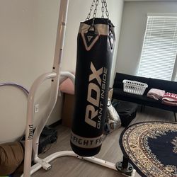 Everlast Punching Bag With Gloves 