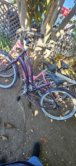 3 bikes