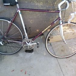 Nishiki Comp 3