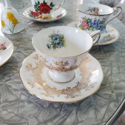 Gorgeous Bone China Cup And Saucer Collection 