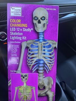 NEW Skeleton light kit