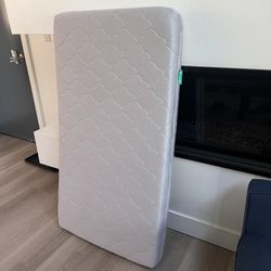 Newton Infant Mattress